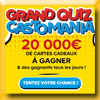 CASTORAMA - GRAND QUIZ CASTOMANIA