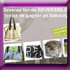 REVERSIBLE JEU CONCOURS (Facebook)