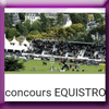 EQUISTRO JEU JUMPING LA BAULE