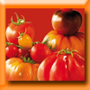 TOMATES ET CONCOMBRES CONCOURS (Facebook)