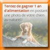 YUMMYPETS - CONCOURS REALDOGS