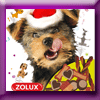 ZOLUX JEU QUIZ NOEL (Facebook)