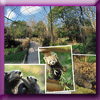 MAGICMAMAN JEU JARDIN DES PLANTES (Facebook)