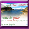 NZ VOYAGES JEU CONCOURS (Facebook)