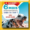 ANIMAL ET CO - GRAND JEU DE L'ETE