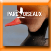 PARC DES OISEAUX - CONCOURS PHOTO 2019