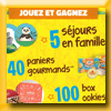 ST MICHEL - JEU DOOMINO GAME (Achat)