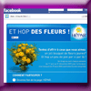 NESTLE HEPAR - ET HOP DES FLEURS (Facebook)