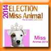 ANIMALECO - ELECTION MISS ANIMAL 2014