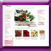 123 FLEURS JEU CONCOURS