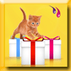 FRISKIES - GRAND JEU IG SPECIAL CHATON