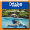 ODALYS VACANCES - CONCOURS CREATIF