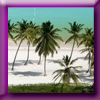 REPUBLIQUE DOMINICAINE JEU CONCOURS [33040]