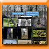 KRAPAHUTE - CONCOURS PHOTO (Facebook) [21665]
