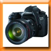 LE PETIT OISEAU CONCOURS PHOTO [26768]