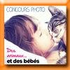 FAMILI - CONCOURS DES ANIMAUX ET DES BEBES