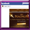 MAGNUM - JEU AU COEUR DE L'ETE (Facebook) [17510]