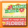 I LOVE PAMPLEMOUSSE JEU TRIP TO FLORIDA (Facebook)