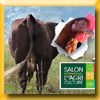 LOUE - JEU IG SALON DE L'AGRICULTURE (Facebook)