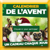 EQUILIBRE ET INSTINCT - JEU CALENDRIER DE L'AVENT 2020