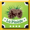 CAMPING LA PINEDE JEU C'EST ENCORE NOEL (Facebook) [34246]