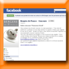 BERGERE DE FRANCE CONCOURS (Facebook) [15690]