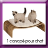 ROYAL CANIN JEU CONCOURS (Facebook)