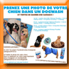 DOGWASH CONCOURS PHOTO (Facebook - Instagram)