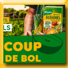 MA VIE EN COULEURS - JEU IG COUP DE BOL AVEC KNORR