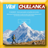 VITAL LE MAG - JEU IG CHULLANKA (Facebook)