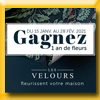 LIBERON - GAGNER 1 AN DE BOUQUET DE FLEURS (Achat) [57284]