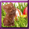 MIAOUBOX JEU CONCOURS DE PAQUES (Facebook) [35639]