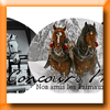 TOP TOILE CONCOURS PHOTOS [25348]