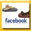 ANIMALERIE BOUTIQUE JEU IG (Facebook) [30622]
