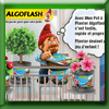 ALGOFLASH JEU MON POT A PLANTER