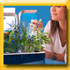 PLANETE VEGETAL - GAGNEZ DES POTAGERS [55949]