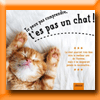 LAROUSSE CONCOURS PHOTO (Facebook) [33137]