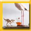 DESIGNERBOX JEU CHASSE AUX OEUFS (Facebook) [35630]