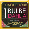 JARDIN BIODIVERSITE - GAGNEZ DES BULBES (Facebook) [41076]