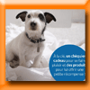 DERMOSCENT JEU CONCOURS [26955]