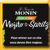 MONIN JEU COCKTAIL MOJITO VS SPRITZ (Achat)