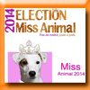 ANIMALECO - ELECTION MISS ANIMAL 2014 [23876]