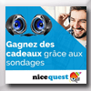 NICEQUEST - SONDAGE EN LIGNE